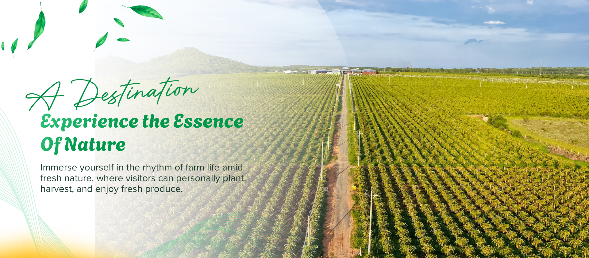 /Uploads/images/Banner/En/1.png'/Uploads/images/Banner/En/2.png'/Uploads/images/Banner/En/3.png'/Uploads/images/Banner/En/4.png'/Uploads/images/Banner/En/5.png'3